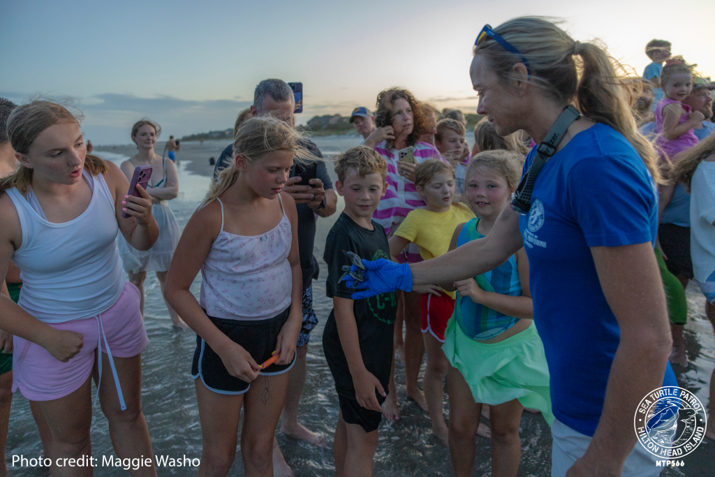 Sea Turtle Patrol HHI Hatchling Release