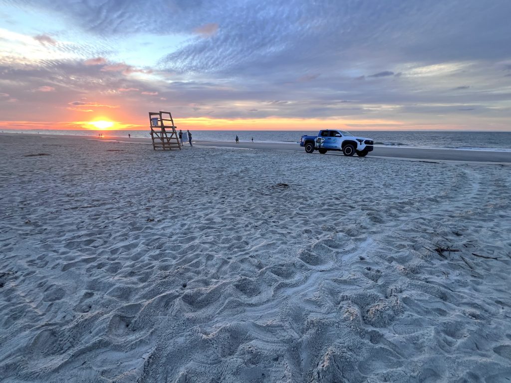 Sea Turtle tracks on Hilton Head Island