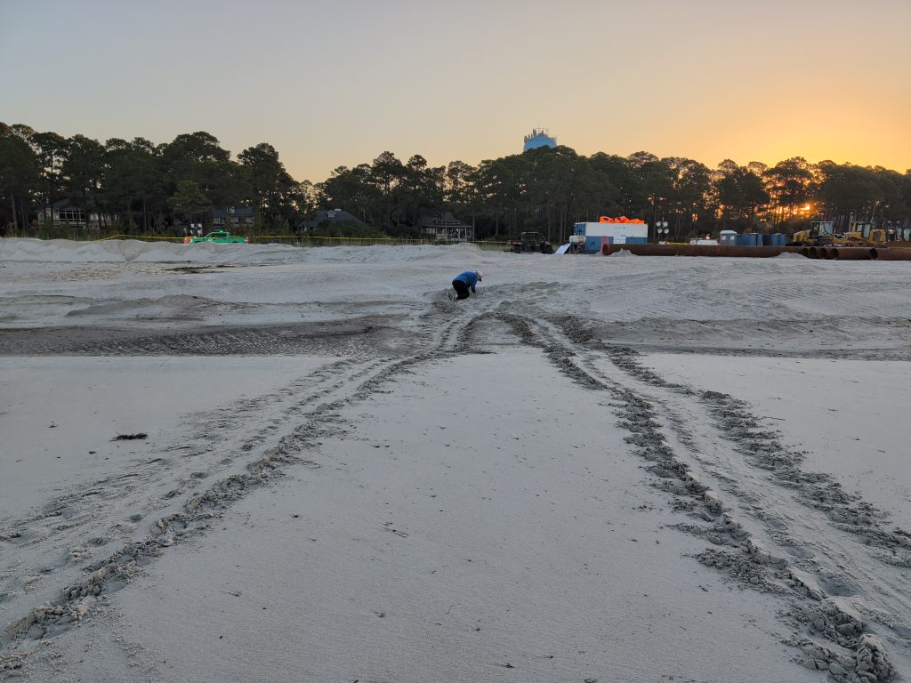 Sea Turtle tracks on Hilton Head Island