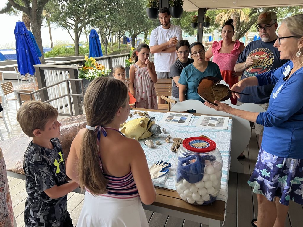 Turtle Talk on Hilton Head