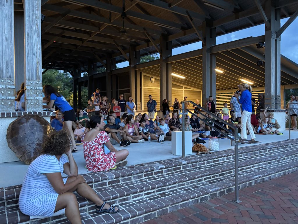 Turtle Talk on Hilton Head