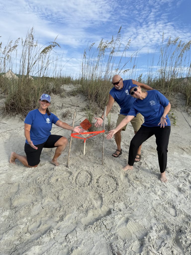 Nest #200 of 2025 on Hilton Head Island