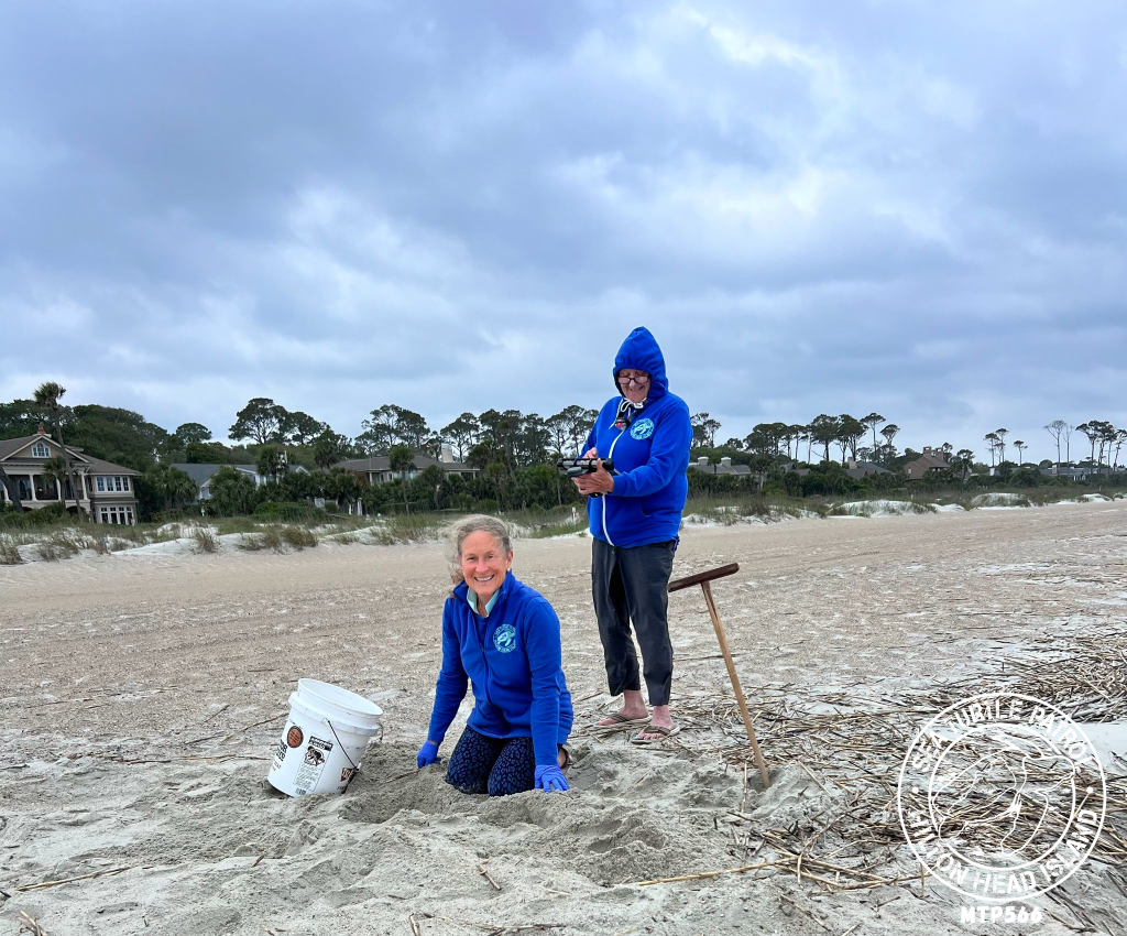 Sea Turtle Patrol Hilton Head Island Nest