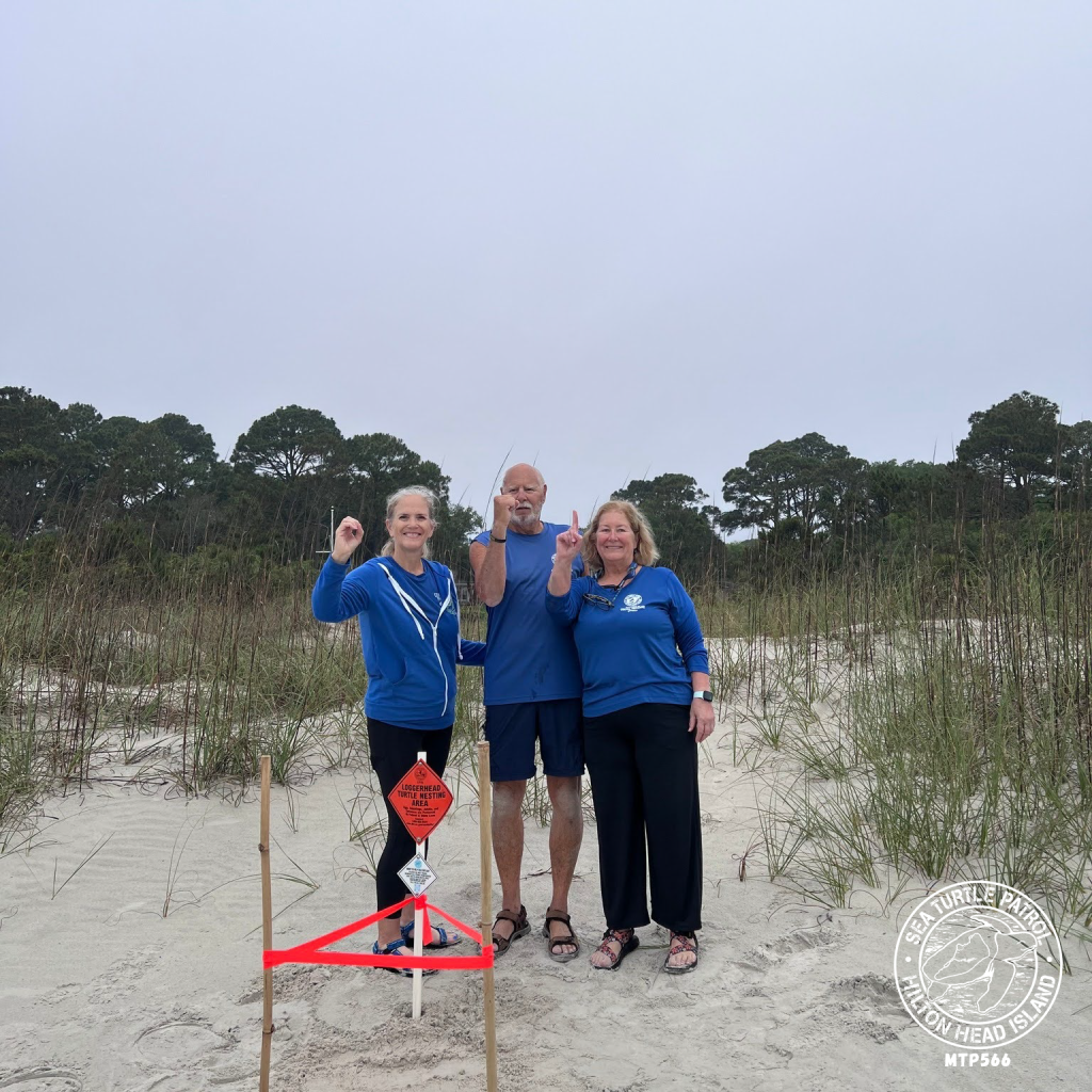 Sea Turtle Patrol Hilton Head Island Nest
