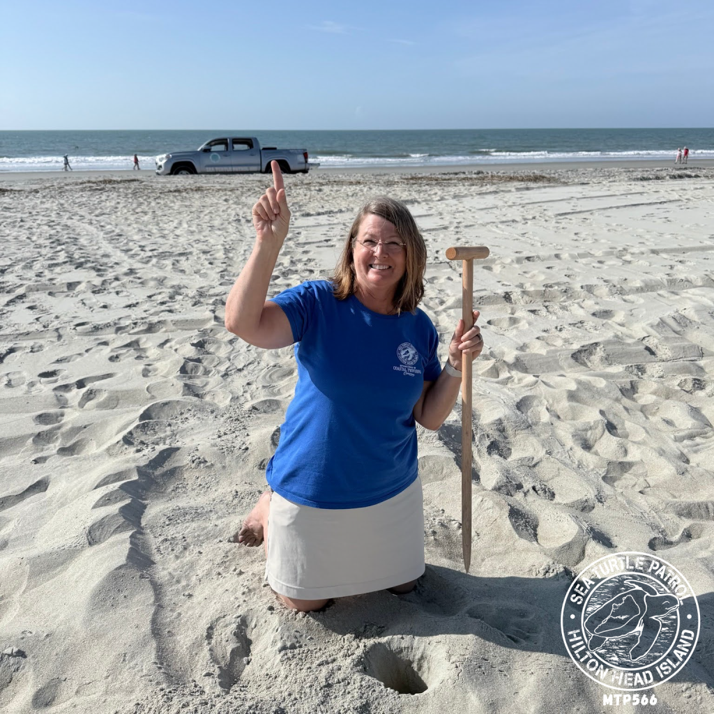 Sea Turtle Patrol Hilton Head Island Nest