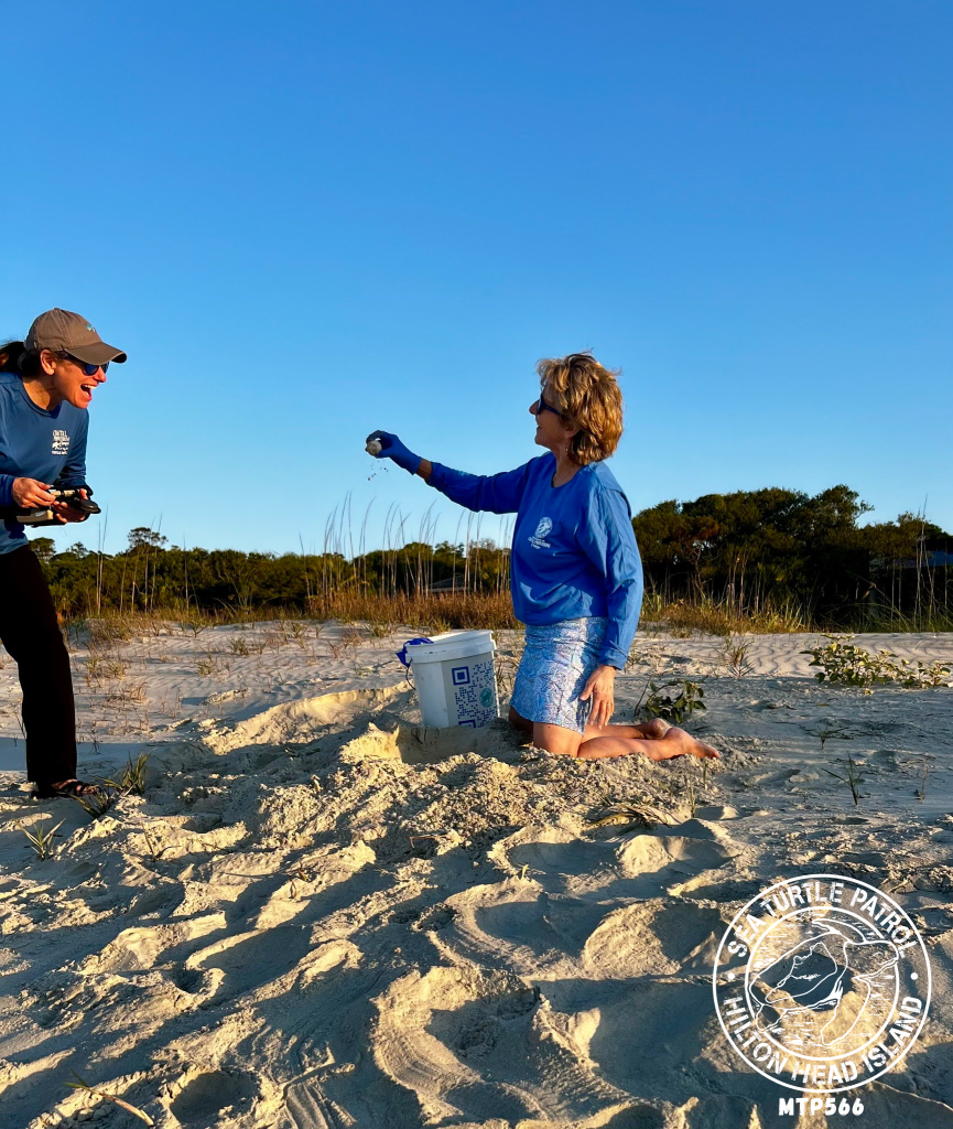 Sea Turtle Patrol Hilton Head Island Nest Relocation