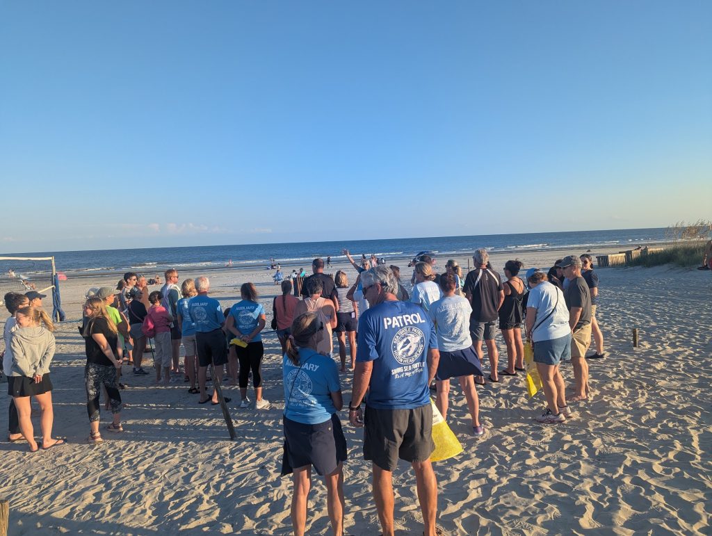 Put the Beach to Bed on Hilton Head