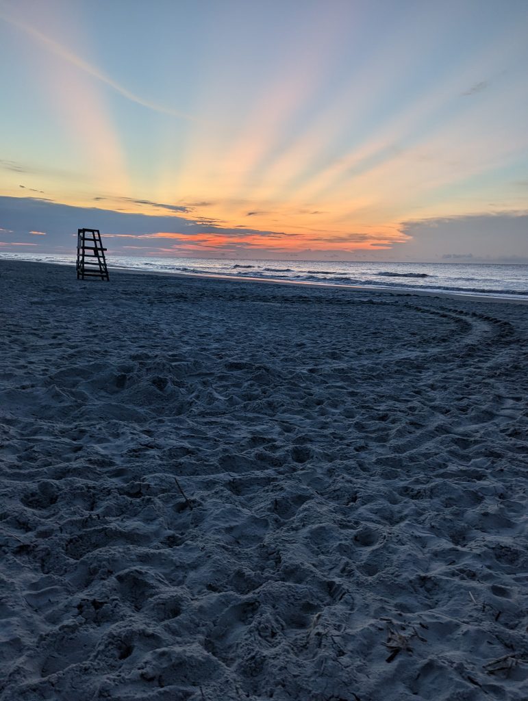 Turtle Tracks at Sunrise on Hilton Head Island