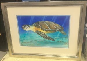 Sea Turtle Raffle