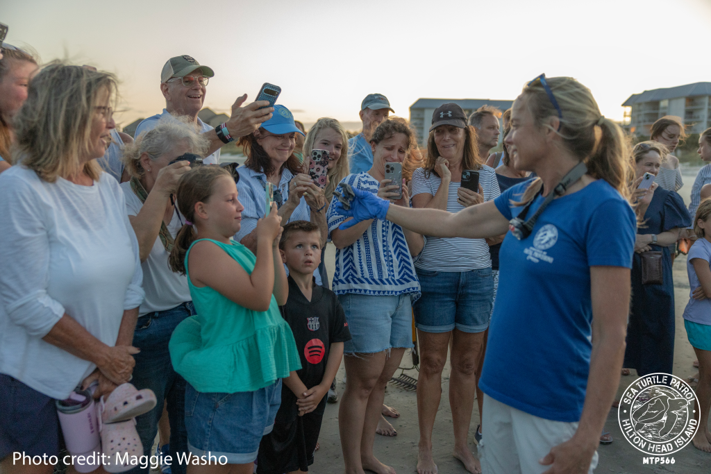 Sea Turtle Patrol HHI Hatchling Release