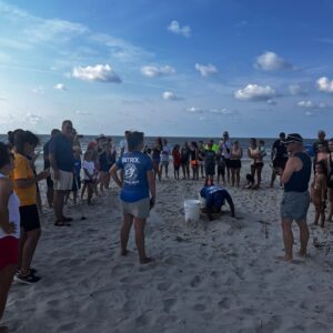 Witnessing a Daytime Nester: Protecting Sea Turtles on Hilton Head Island