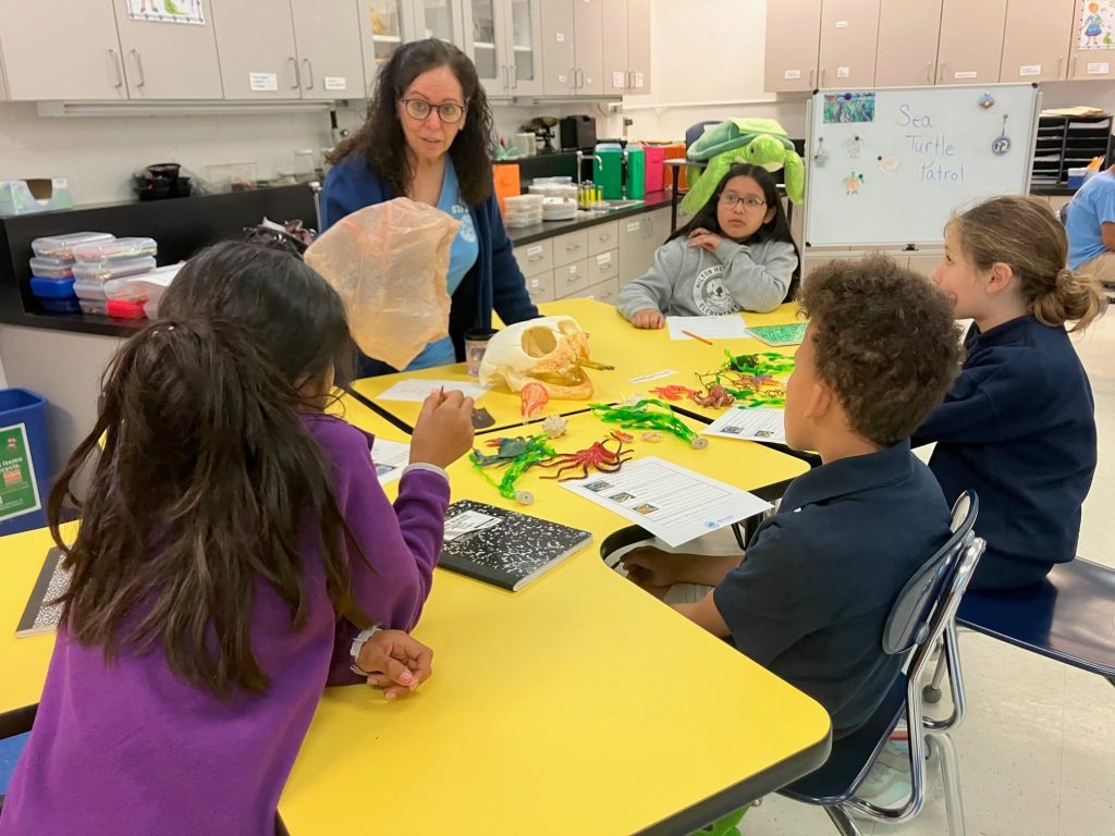 Hilton Head Island Elementary School Sea Turtle Education with Sea Turtle Patrol HHI