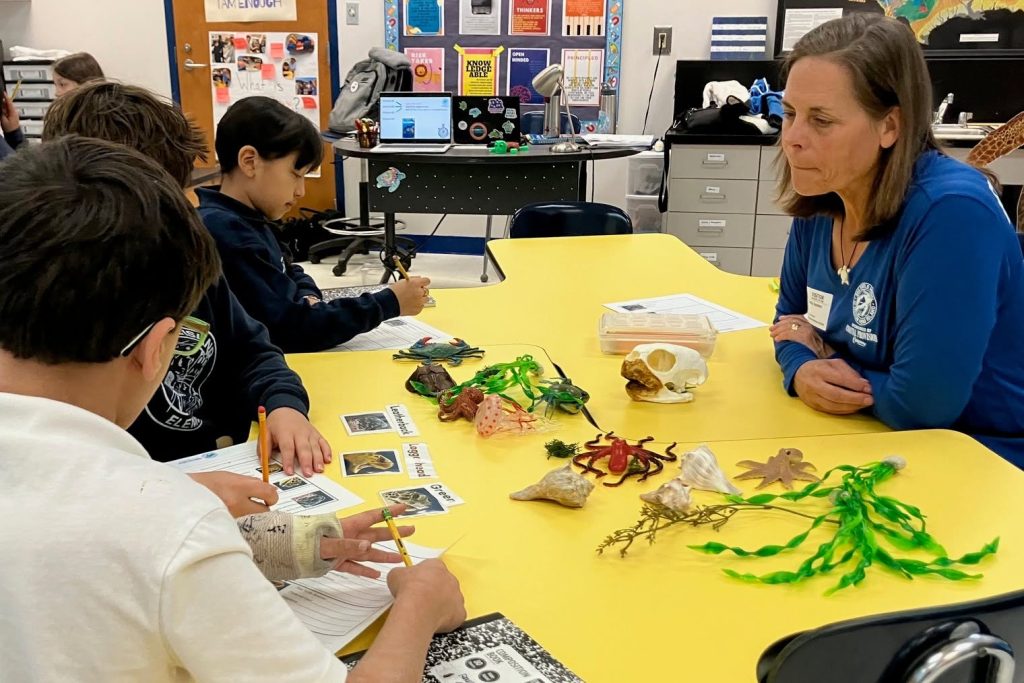 Hilton Head Island Elementary School Sea Turtle Education with Sea Turtle Patrol HHI